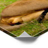 Leefloperij Poster (Hoek)