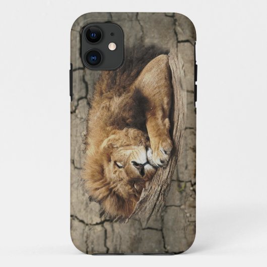 Leeftijd Dierlijke wilde kattensteen Case-Mate iPhone Case (Achterkant)