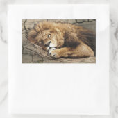 Leeftijd Dierlijke wilde kattensteen Rechthoekige Sticker (Tas)