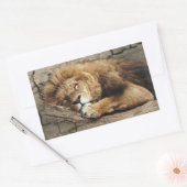 Leeftijd Dierlijke wilde kattensteen Rechthoekige Sticker (Envelop)