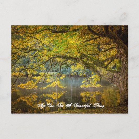 Leeftijd kan mooi zijn briefkaart (Voorkant)