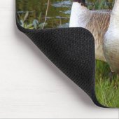 Leeftijd Muismat (Hoek)