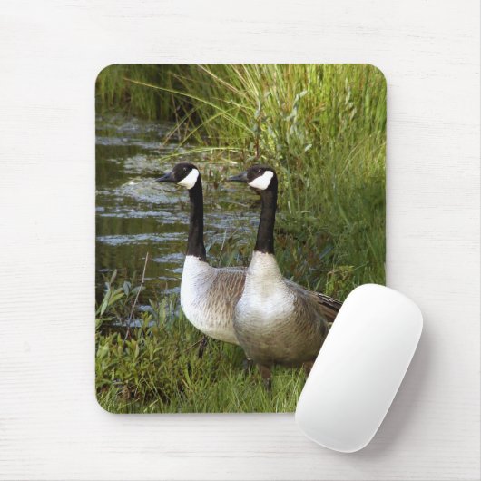 Leeftijd Muismat (Met muis)