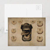 Leeftijd van de Waterverf van de paardenmond Teth  Briefkaart (Voorkant / Achterkant)