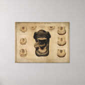 Leeftijd van de Waterverf van de paardenmond Teth  Canvas Afdruk (Voorkant)