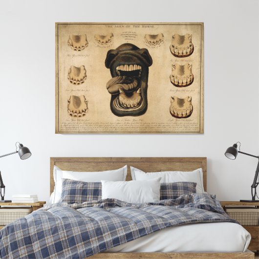 Leeftijd van de Waterverf van de paardenmond Teth  Canvas Afdruk (Insitu (Slaapkamer))