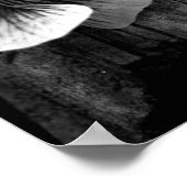 Leeftijd van onschuld poster (Hoek)