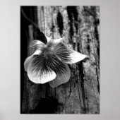 Leeftijd van onschuld poster (Voorkant)