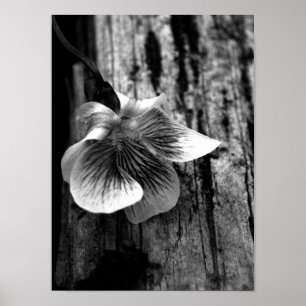 Leeftijd van onschuld poster