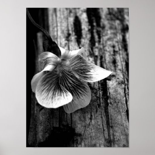 Leeftijd van onschuld poster (Voorkant)