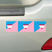 Leeftijdsrollenspel Pride-vlag Bumpersticker (Op auto)