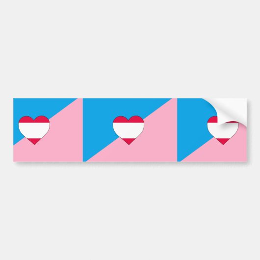 Leeftijdsrollenspel Pride-vlag Bumpersticker (Voorkant)