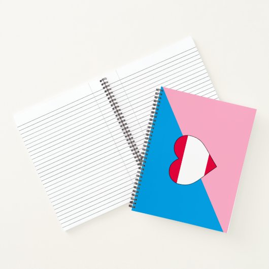 Leeftijdsrollenspel Pride-vlag Notitieboek (Binnen)