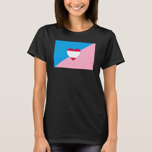 Leeftijdsrollenspel Pride-vlag T-shirt (Voorkant)