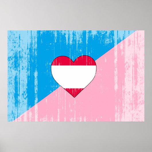 LEEFTIJDSSPEL TROTS VLAG POSTER (Voorkant)