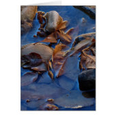 Leeg binnenin, bladeren (Voorkant)