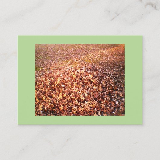 Leeg en verwijderen visitekaartje (Voorkant)