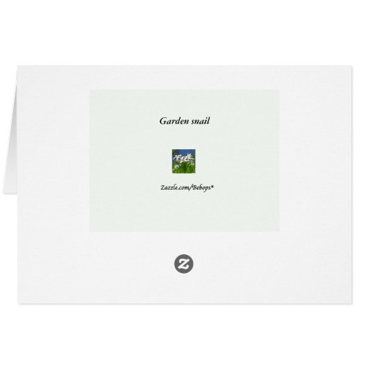 Leeg Kaart slak (Achterkant Horizontaal)