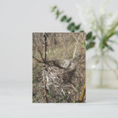 Leeg Nest briefkaart (Staand voorkant)