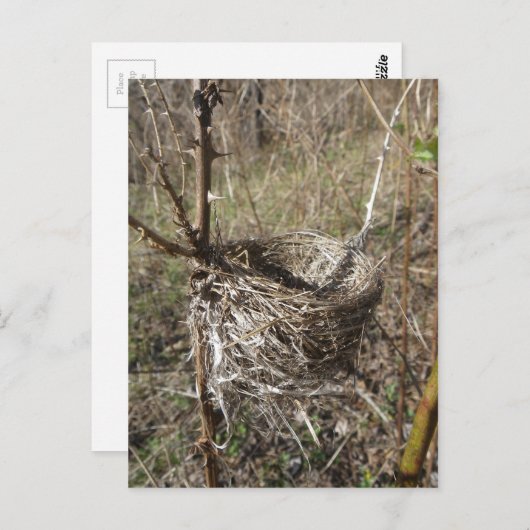 Leeg Nest briefkaart (Voorkant / Achterkant)