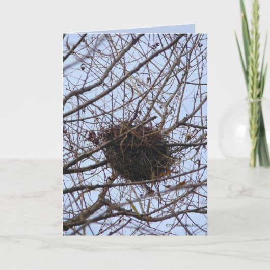 Leeg Nest Kaart (Voorkant)