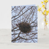 Leeg Nest Kaart (Gele Bloem)