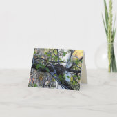 Leeg Nest Notecard Kaart (Voorkant)