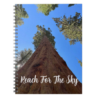 Leeg notitieboek met Sequoia's uit Yosemite