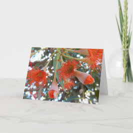 Leeg Wenskaart - de Oranje Bloemen van de Gomboom Kaart