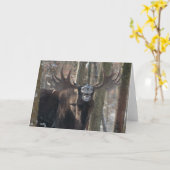 Leeg Wenskaart: Het lachen Amerikaanse elanden Kaart (Gele Bloem)