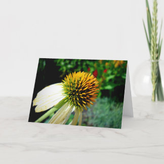 Leeg Wenskaart Kaart