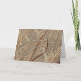 Leeg Wenskaart Kaart