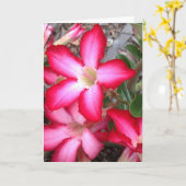 Leeg wenskaart kaart (Gele Bloem)