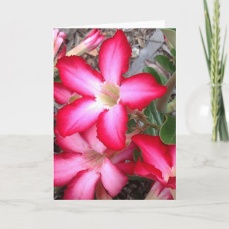 Leeg wenskaart kaart