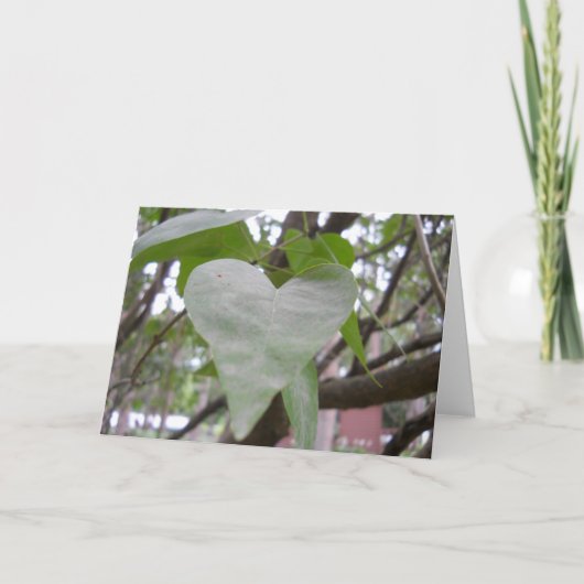 Leeg Wenskaart Kaart (Voorkant)