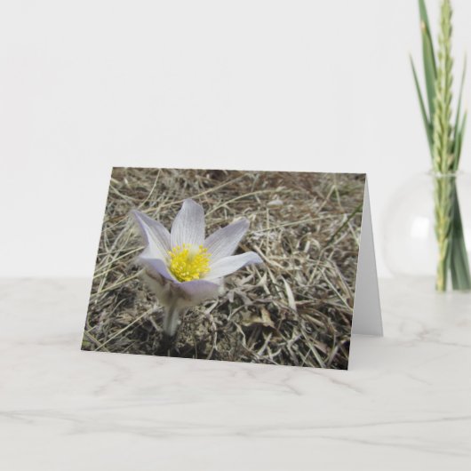 Leeg Wenskaart Kaart (Voorkant)