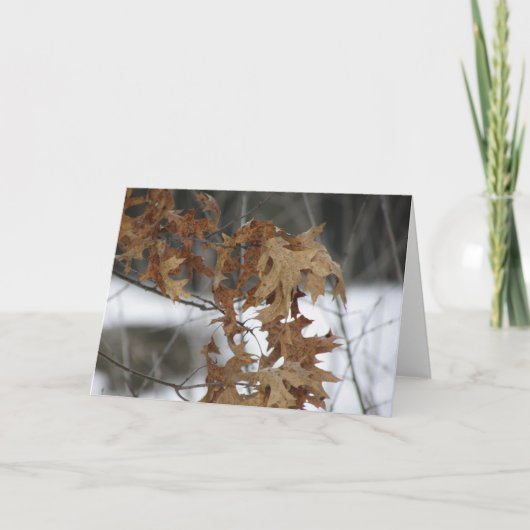 Leeg Wenskaart Kaart (Voorkant)