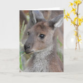 Leeg Wenskaart - Kangaroo Joey Kaart (Gele Bloem)