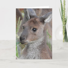Leeg Wenskaart - Kangaroo Joey Kaart