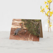 Leeg Wenskaart met blauw jasje in woestijn Kaart (Gele Bloem)