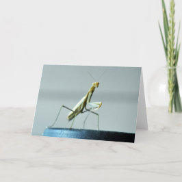 Leeg wenskaart met de foto van Bidsprinkhanen Kaart