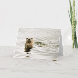 Leeg Wenskaart met de foto van de Otter Kaart