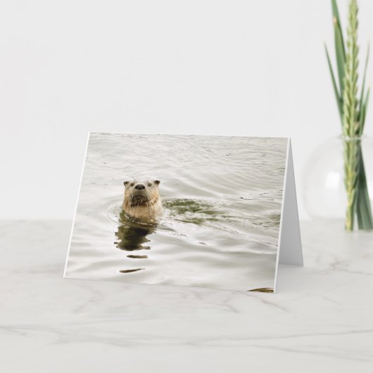 Leeg Wenskaart met de foto van de Otter Kaart (Voorkant)