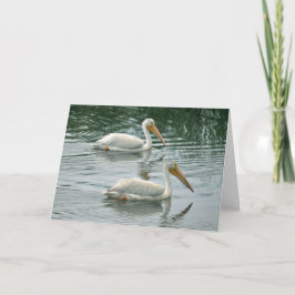 Leeg Wenskaart met de foto van de Pelikaan Kaart