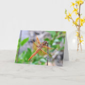 Leeg Wenskaart met Dragonfly-foto Kaart (Gele Bloem)