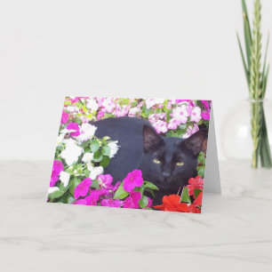 Leeg Wenskaart met Kat in Bloemen Kaart
