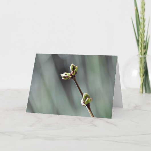 Leeg wenskaart met ontluikende Lila foto Kaart (Voorkant)