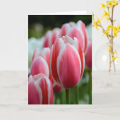 Leeg Wenskaart met Roze Tulpen Kaart (Gele Bloem)