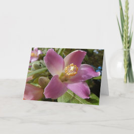 Leeg Wenskaart - Pyramid Tree Flower Kaart