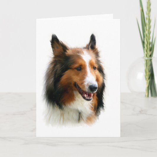 Leeg Wenskaart Sheltie Kaart (Voorkant)